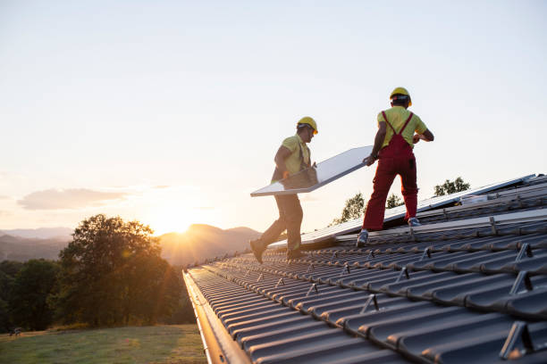 Best Roof Moss and Algae Removal  in Welcome, NC